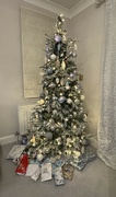 9th Dec 2023 - Christmas tree