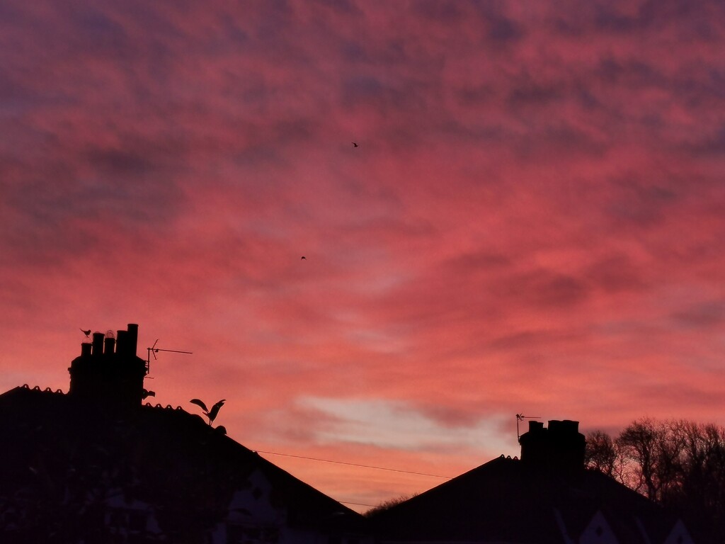 Morning sky - again!  by plainjaneandnononsense
