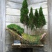 boat bonsai by blueberry1222