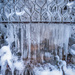 Icy by helstor365
