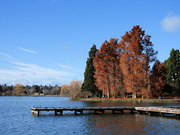 10th Dec 2023 - Green Lake 