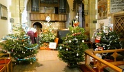 10th Dec 2023 - Helmsley Christmas Tree Festival