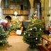 Helmsley Christmas Tree Festival by fishers