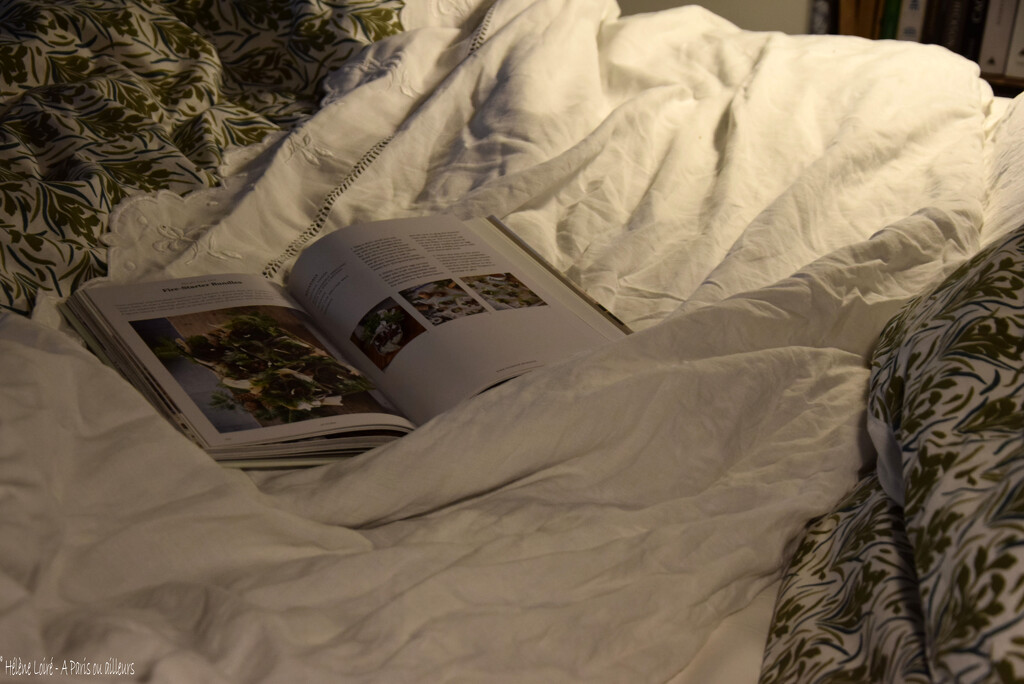 reading in bed by parisouailleurs