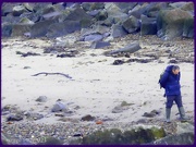 10th Dec 2023 - Searching for sea glass?