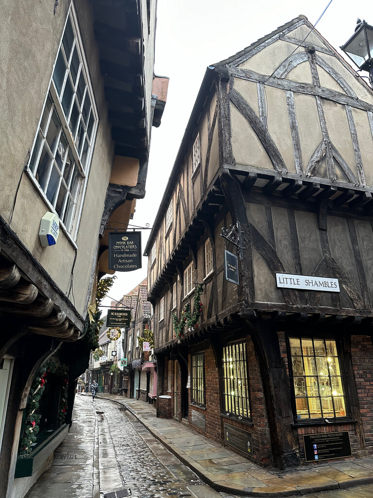 The Shambles by 365projectmaxine