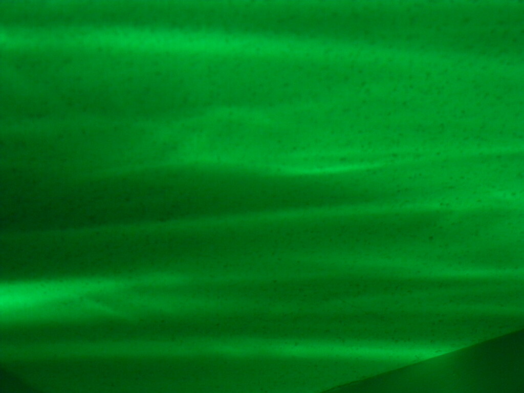 Green Ceiling by sfeldphotos