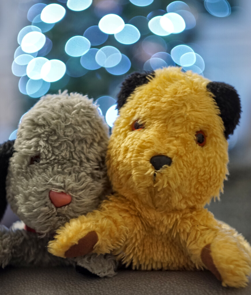 Sooty, Sweep, Bokeh and a vintage lens by phil_howcroft