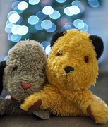 9th Dec 2023 - Sooty, Sweep, Bokeh and a vintage lens