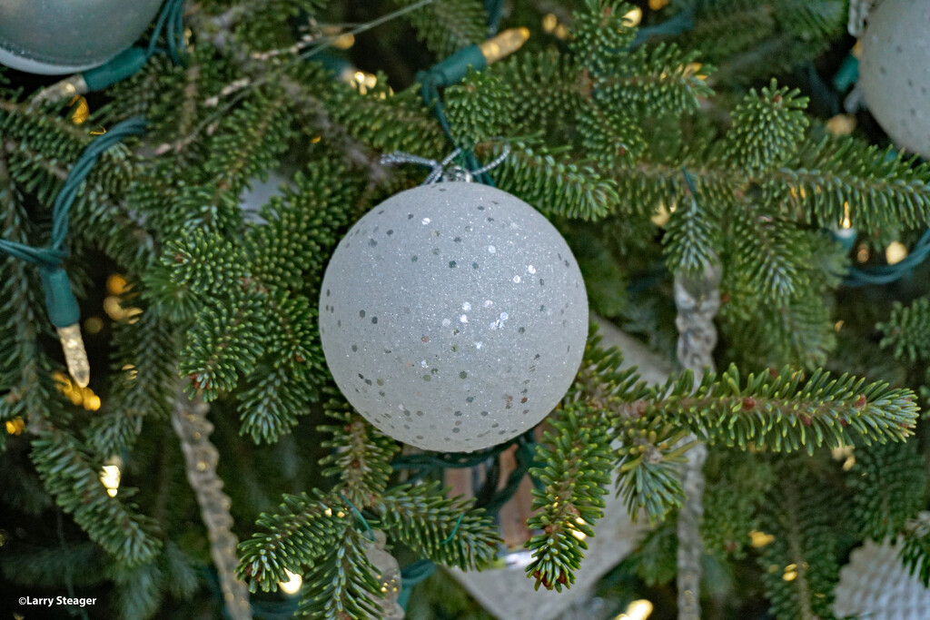Tree ornament by larrysphotos