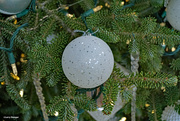 10th Dec 2023 - Tree ornament
