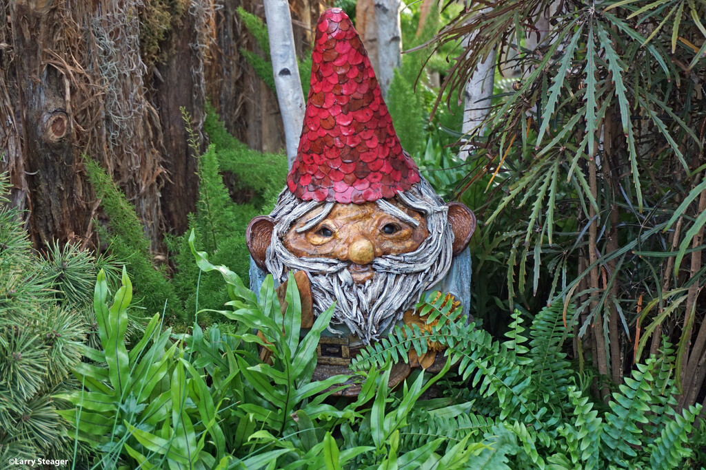 Gnome in the garden by larrysphotos