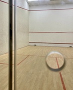 10th Dec 2023 - Focused squash supporter abstract