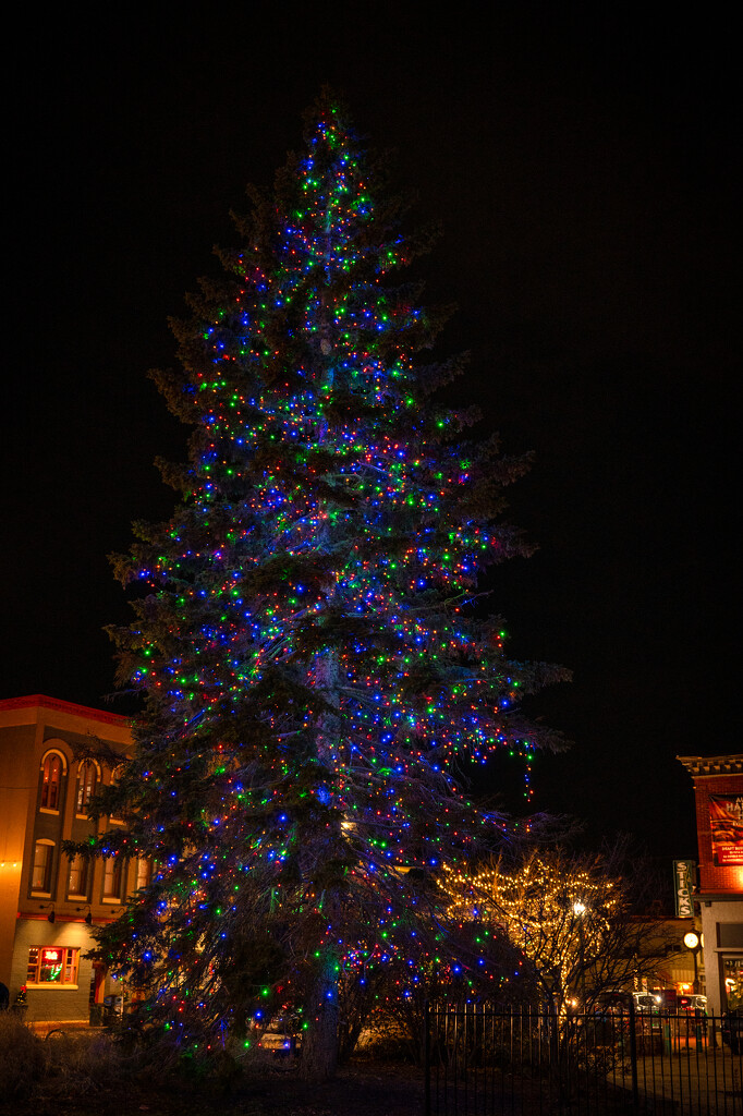 perfunctory huge tree by jackies365