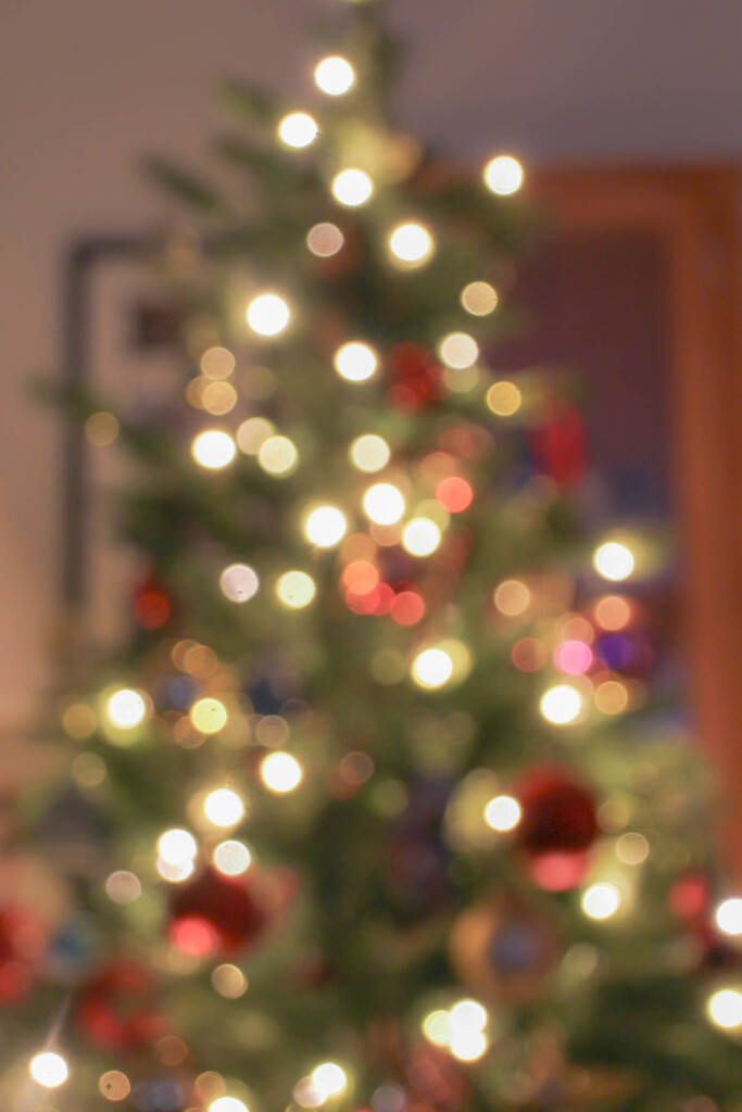 My bokeh Christmas tree by mittens