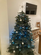 10th Dec 2023 - Christmas Tree