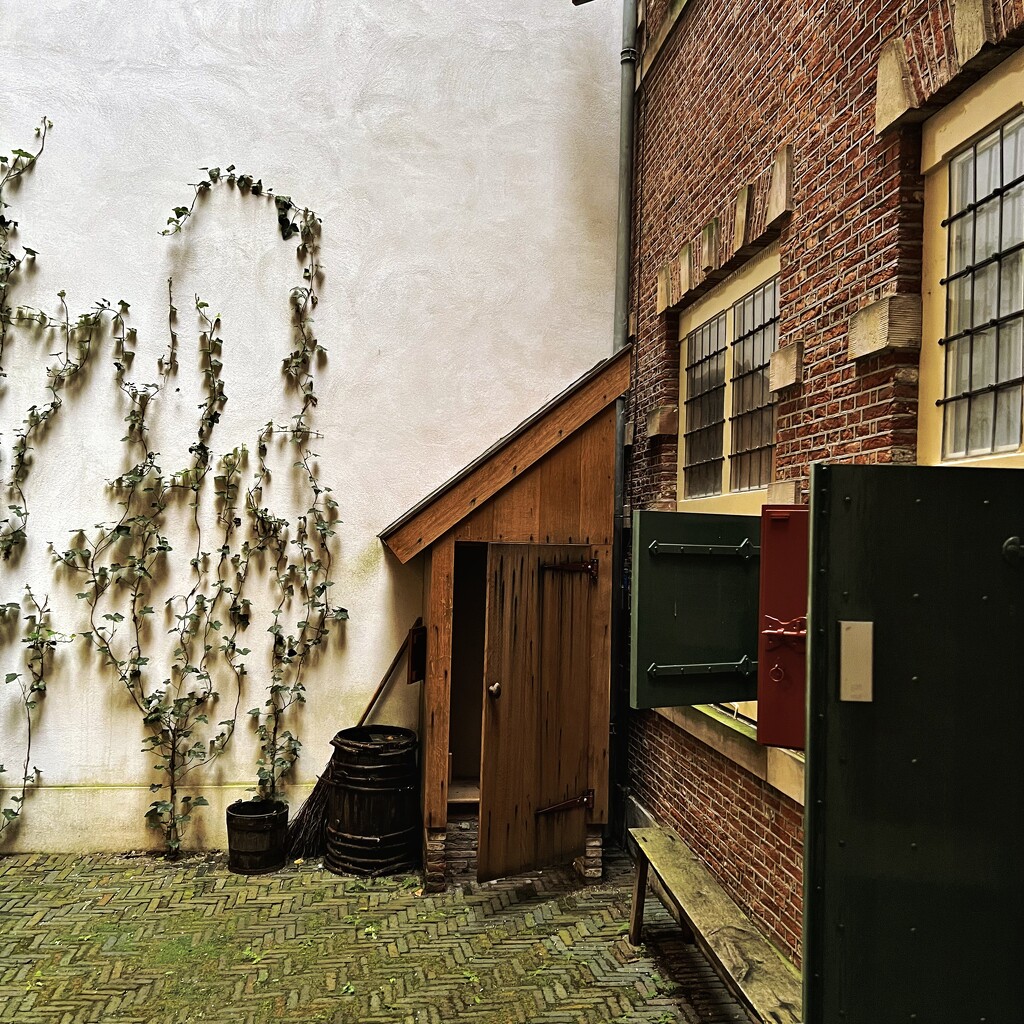 Courtyard by mastermek
