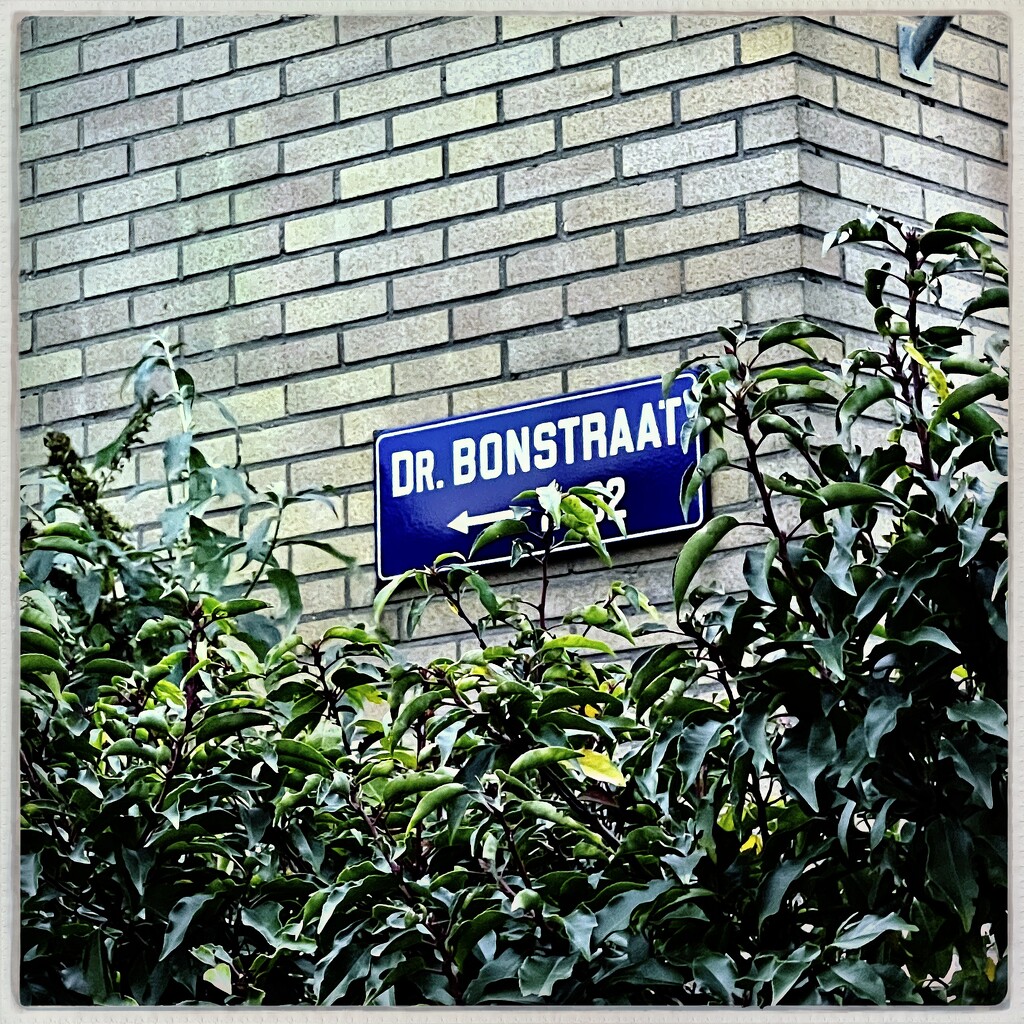Dr. Bonstraat by mastermek
