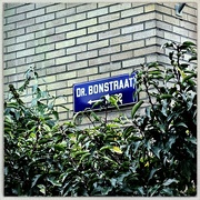 24th Nov 2023 - Dr. Bonstraat