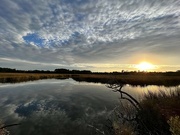 11th Dec 2023 - Marsh glory at sunset 