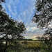 A sunny afternoon overlooking the marsh! by congaree