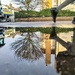 Puddle morning  by boxplayer