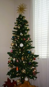11th Dec 2023 - 12 11 Our Christmas Tree