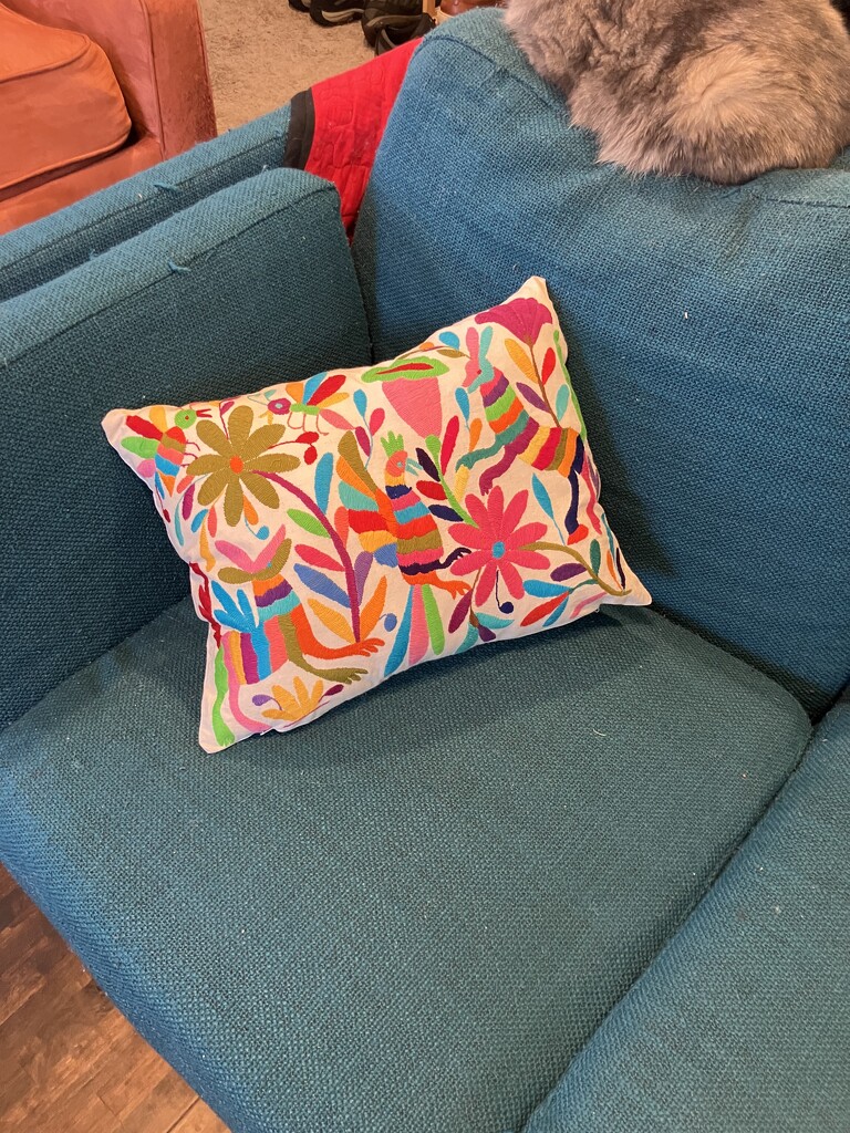 Mexican Pillow by gratitudeyear