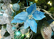 12th Dec 2023 - blue Christmas