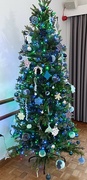 13th Dec 2023 - Village Hall Christmas tree 