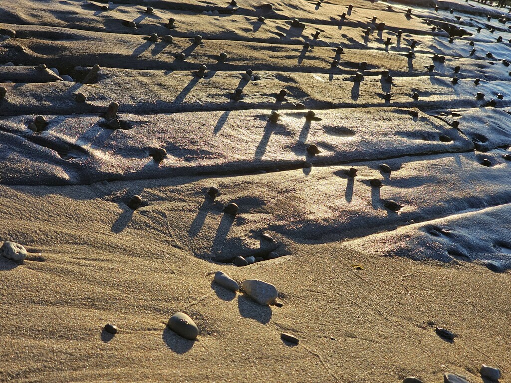 Sand, wood, water by edorreandresen