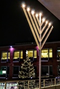 13th Dec 2023 - Candles of Hanukkah, Candles of Christmas