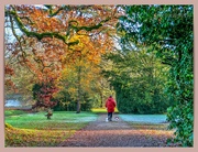 14th Dec 2023 - Strolling Through The Arboretum