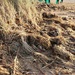 Beach clean at Mersehead  by samcat