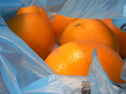 15th Dec 2023 - Oranges in Bag 