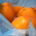 Oranges in Bag  by sfeldphotos