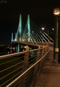 14th Dec 2023 - Walking on Tillikum Bridge 