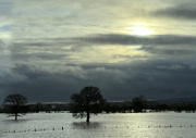 12th Dec 2023 - 12 - Floods In Worcestershire 