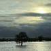 12 - Floods In Worcestershire  by marshwader
