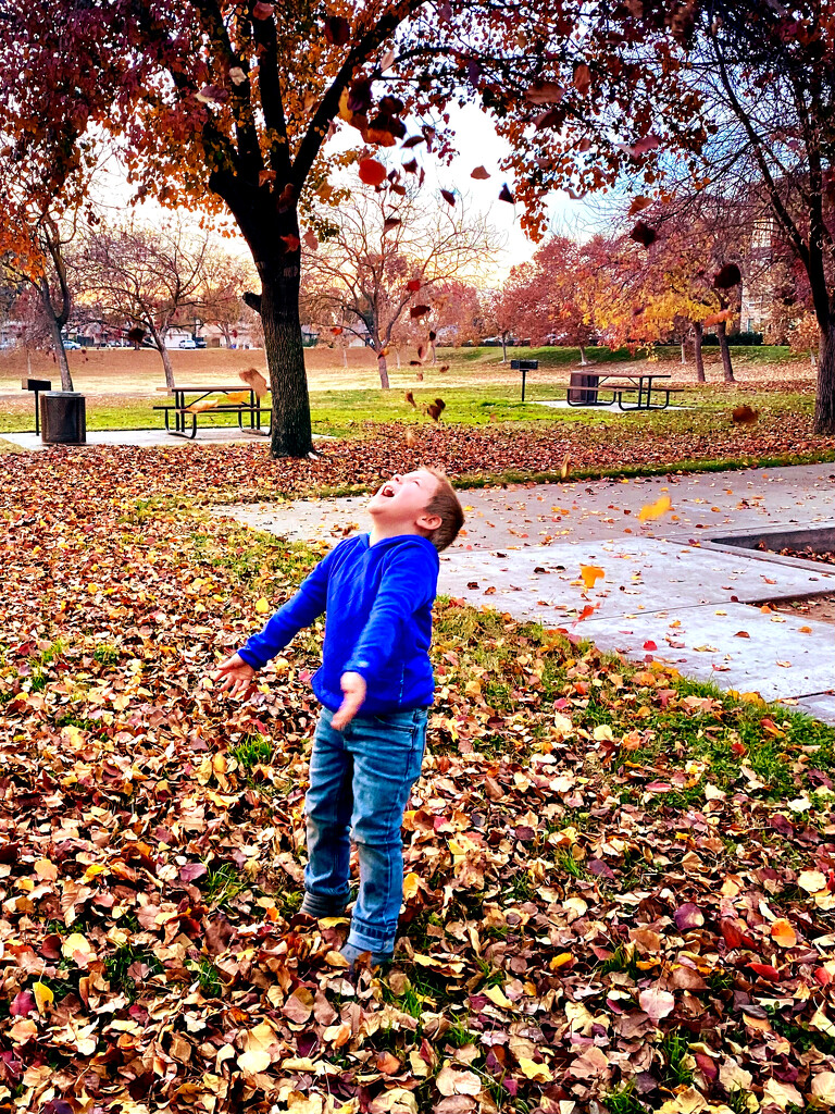 The pure joy of throwing leaves up to the sky by joysfocus