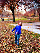 15th Dec 2023 - The pure joy of throwing leaves up to the sky