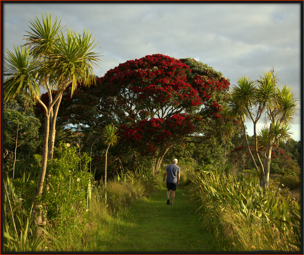 Evening walk by dide