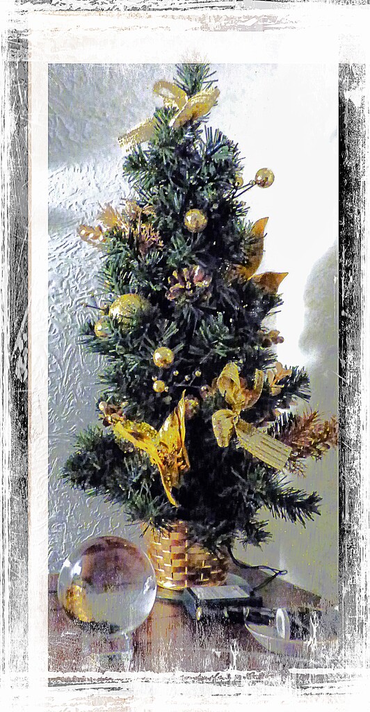 Oh! little Christmas Tree.  by beryl