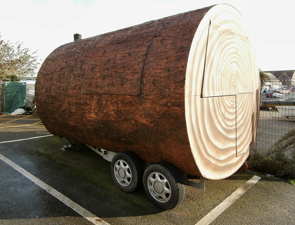 Big log.......... by cutekitty