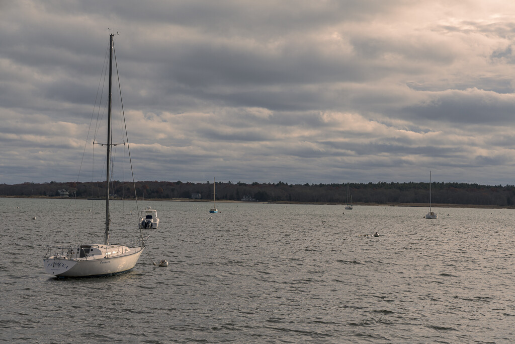 Sail Away by swchappell