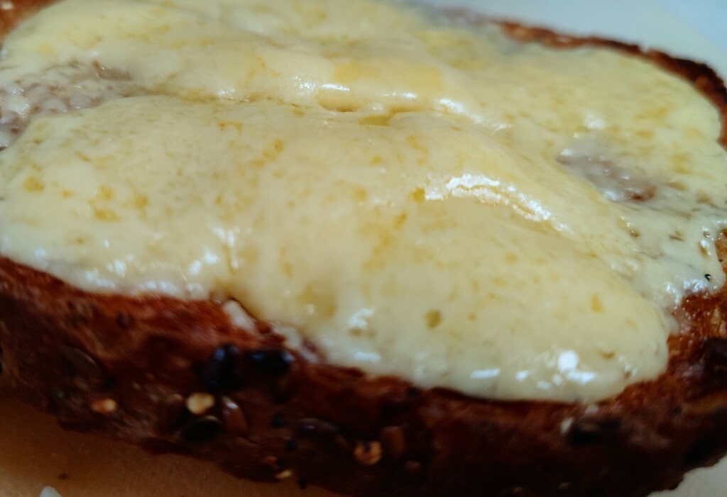 Cheese on Toast  by countrylassie