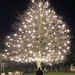Tree of Light by cmf