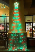 15th Dec 2023 - 12 15 Light Tree