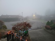 16th Dec 2023 - Foggy View