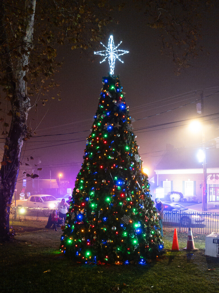 Tree Lighting by swchappell